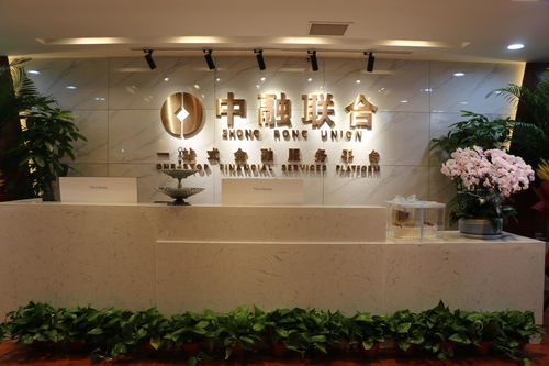 西安中融聯(lián)合商務(wù)信息咨詢 解析現(xiàn)代商務(wù)服務(wù)的核心價(jià)值